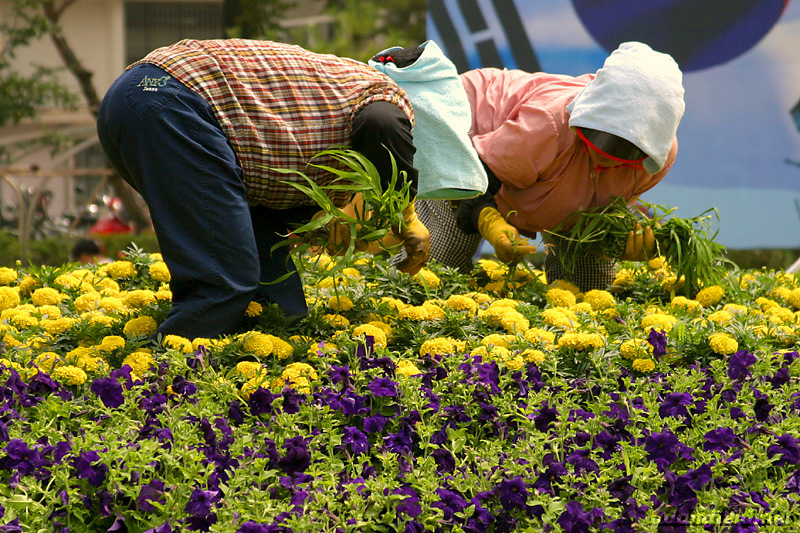 Gardeners